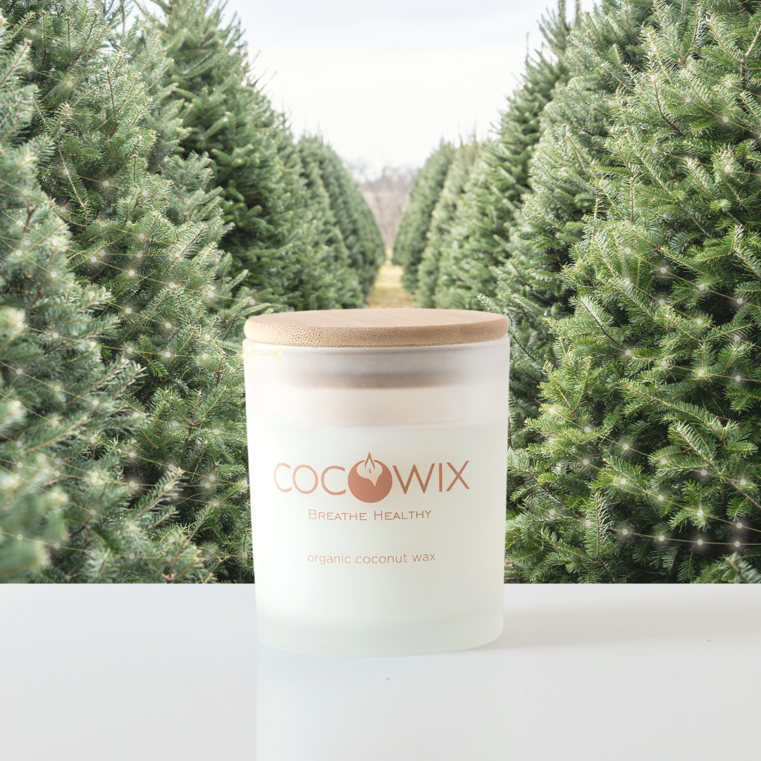 Fraser Fir